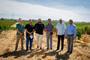 Cross-pollination of knowledge