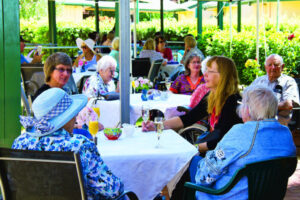 Jacaranda Village gets into festive mode