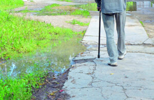 Fall program coming soon