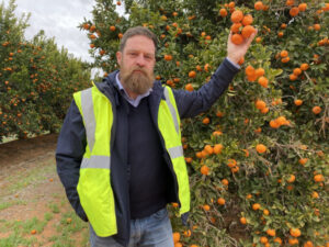 Citrus tariffs leave a sour taste