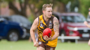 Hawk probe in Millewa Football League