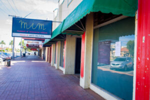 Sunraysia artists take a personal look at lockdown
