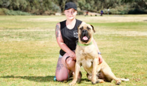 Plans to fence Mildura dog park as users demand change