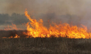 Burn-off warning from CFA