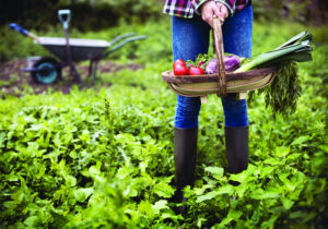 Cooking it up at Seniors Fest