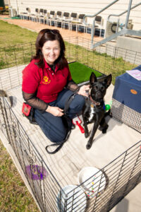Training to help Mildura dogs become baby’s best friend