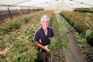 Robinvale almond nursery targets family businesses