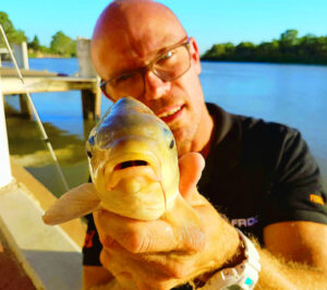 Carp virus risks probe