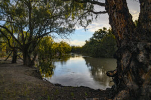 Plibersek approves water plan