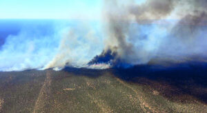 Firies on high alert