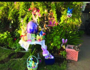 Pics in Isolation April 23, 2020