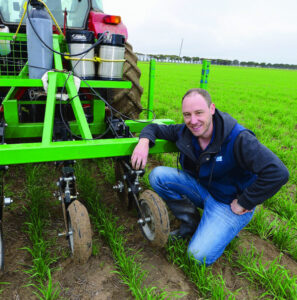 Cereal crops on upswing