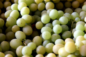 Hong Kong company in $46 million farm buy