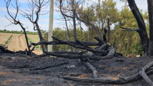 Iraak scrub fire shuts road
