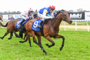 The good oil on today’s bet365 Mildura Cup runners