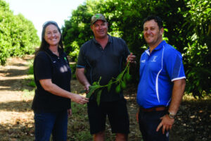 Bright outlook for crop as cold nears