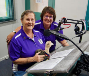 Taking vision on air