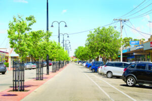 Robinvale voices flock to festival