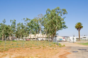 More stock approved for Mildura South abattoir