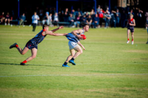 FOOTY FIX – Dees close gap on Dogs