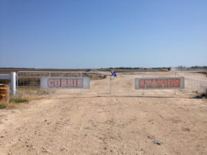 Is cotton to blame for the Darling River crisis?