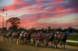 Mildura harness racing vet outlines heat measures