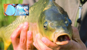 Outlawed carp ‘popular’ in local store