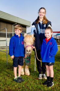 Nichols Point Primary School gets farm fun on four legs