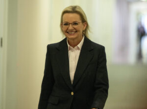 Ley takes on top job after party vote