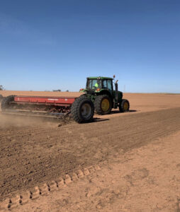 Wine and table grapes grow well for Murray River Organics