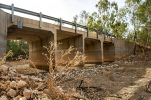 Signs are ‘promising’ for Great Darling Anabranch flows