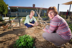 Feast of healthy ideas