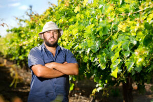 Staying clear on vegetation