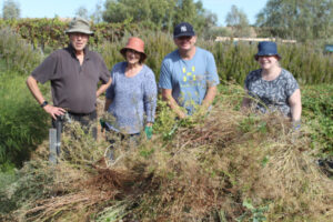 Mildura Community Garden has a need to weed