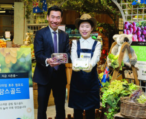 Farming: Grapes hit Korea