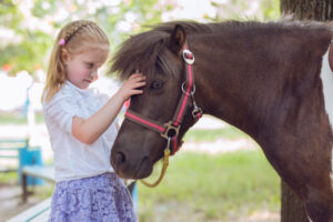 Saddle up! Pony rides are coming to Jaycee Park