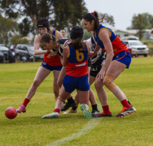 Magpies flying high