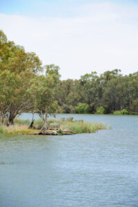 ‘It is indefensible’: Murray-Darling Basin Authority acted unlawfully, royal commission finds