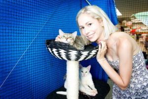 PHOTOS: Furry friends wait for a loving family