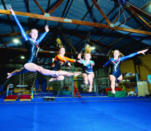 Gymnasts would jump at chance