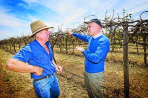 Piccoli tells Labor to step up in the bush