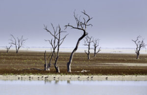 Murray-Darling Basin ­R­oyal Commission: Menindee Lakes impact ‘unknown’