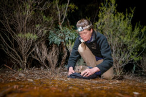 New homes are second nature