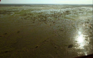 NSW floodplain harvesting rules go back to parliament