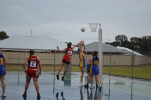Swallows soar in the wet