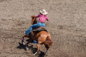 Outback gymkhana on again this weekend