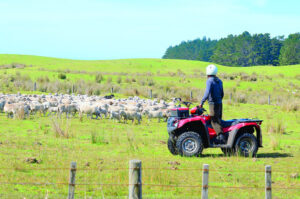 Call to step up quad bike safety