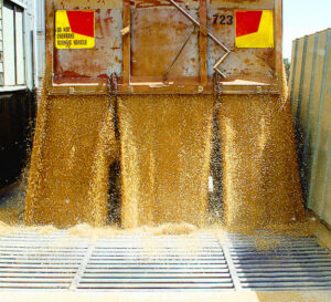 Dry winter ‘could push up grain prices’