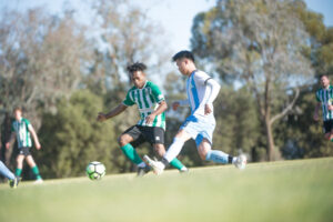 Pointers aim for dual titles