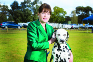 Dogs put on a show